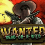 Game slot online Wanted Dead or Wild