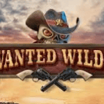 slot gacor Wanted Wildz
