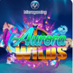 slot online Aurora Wilds